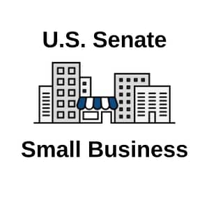 Amelia Island Kayak Small Business Senate Award