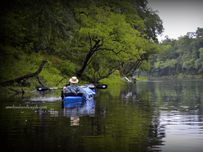 Amelia Island Kayak Suwannee River