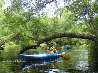 Amelia Island Kayak Lofton Creek