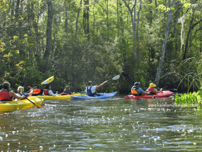 Amelia Island Kayak Excursions Lofton Creek